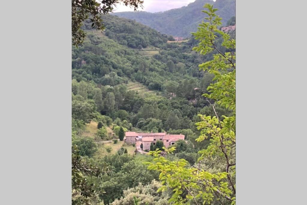 Holiday home Mas Historique Du Xve Cevennes Saint-Paul-la-Coste