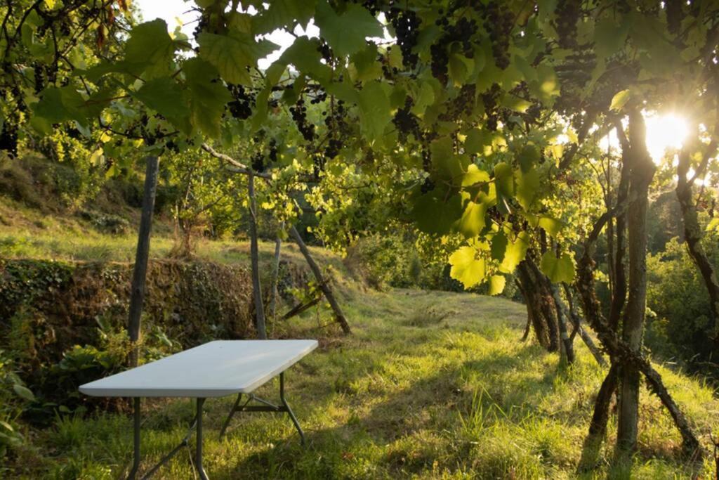 Holiday home Mas Historique Du Xve Cevennes *