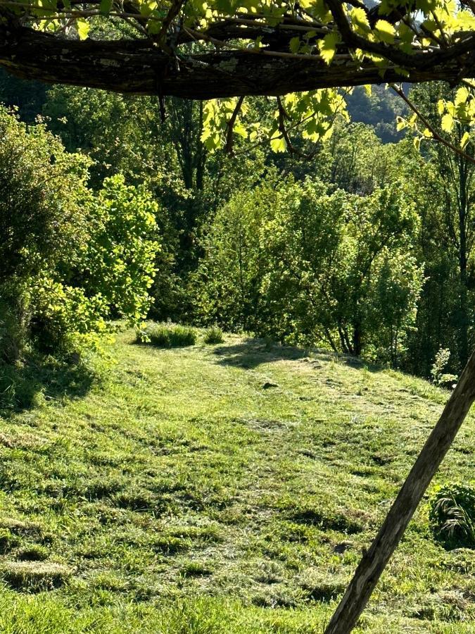 Mas Historique Du Xve Cevennes Holiday home *